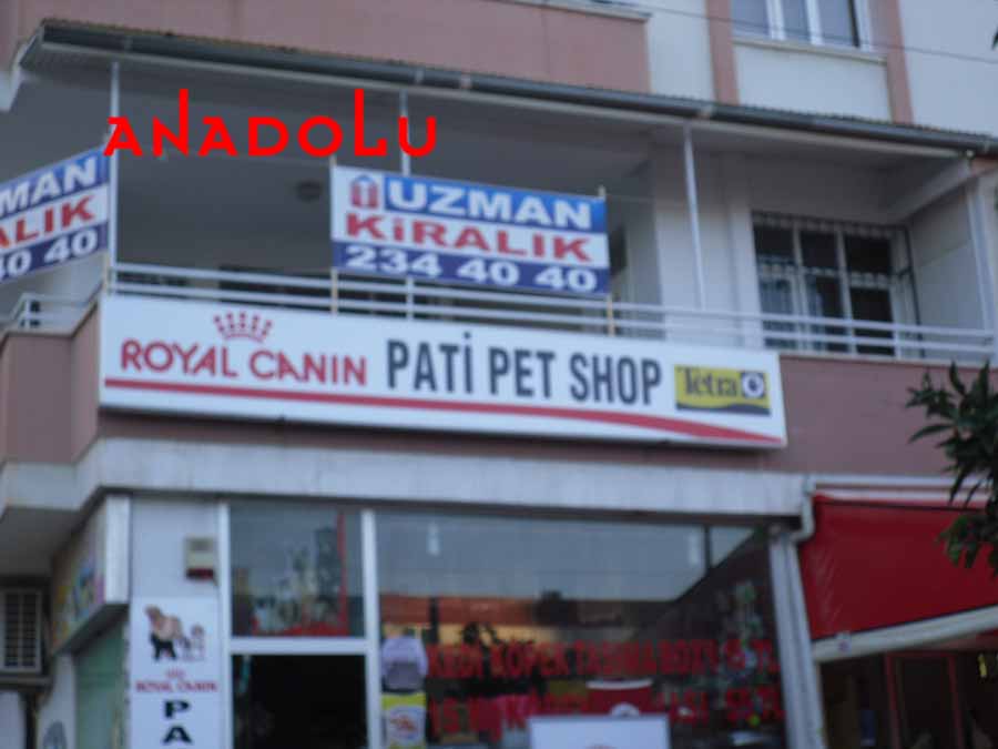 Pati Pet Shop Pati Pet Shop