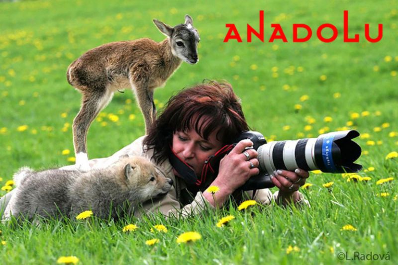 Doğa Fotoğrafı Çekimleri Doğa Fotoğrafı Çekimleri Doğa Fotoğrafı Çekimleri Doğa Fotoğrafı Çekimleri Doğa Fotoğrafı Çekimleri Doğa Fotoğrafı Çekimleri Doğa Fotoğrafı Çekimleri